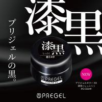 PREGEL　カラーEX 4g　漆黒　PG-CE249　★お取り寄せ★