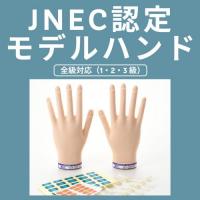 STモデルハンド セット(JNEC 第1期認定モデルハンド)　★お取り寄せ★