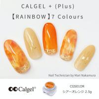 Calgel カラージェル プラス　シアーオレンジ 2.5g S01OR ★お取り寄せ★