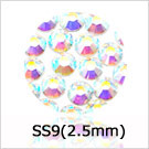 SS9(2mm)
